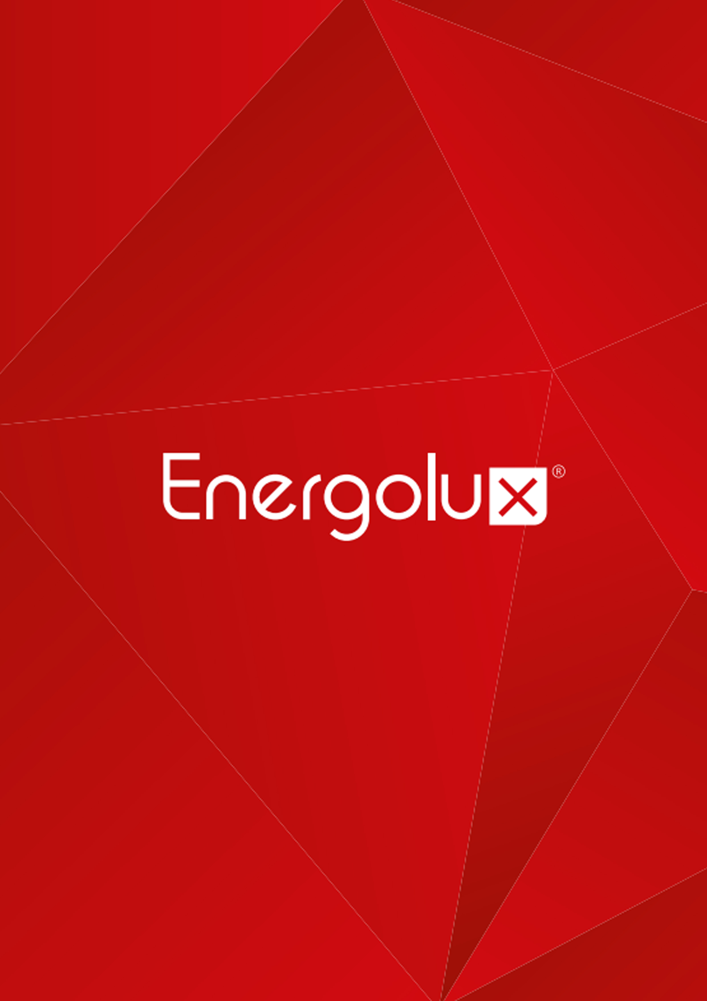 Брендбук Energolux